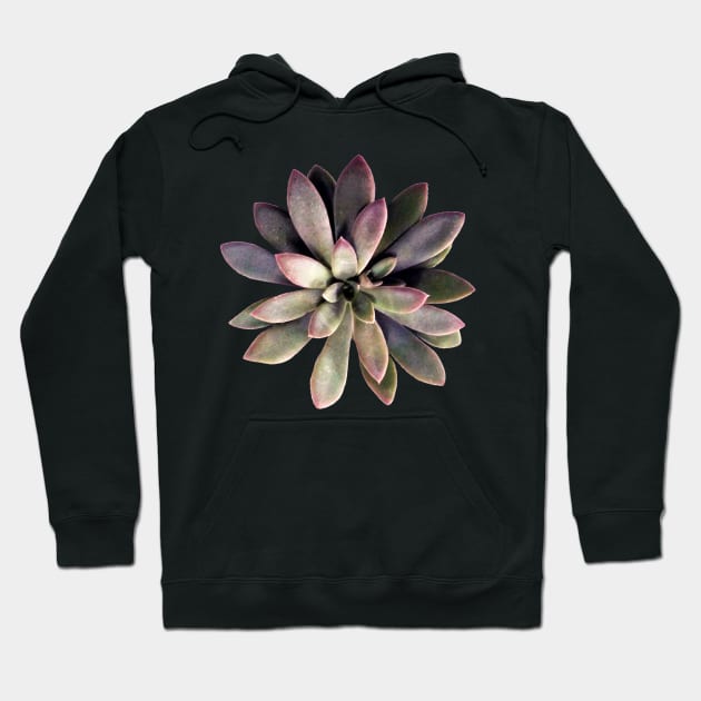 Suculenta Echeveria Carnicolor Hoodie by NerdsbyLeo